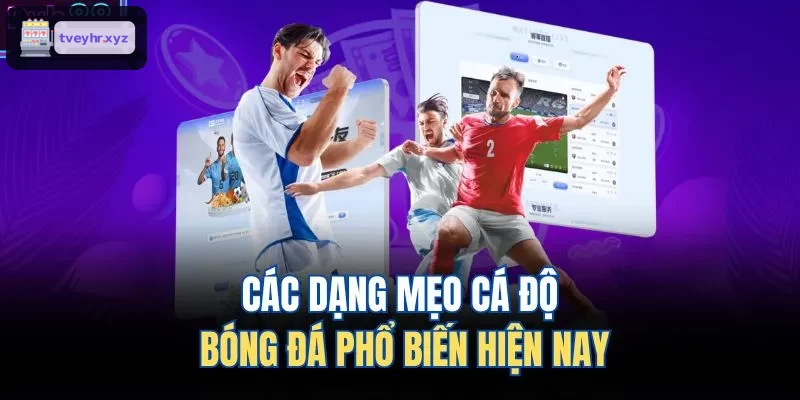 Các loại chiến thuật cá độ bóng đá phổ biến