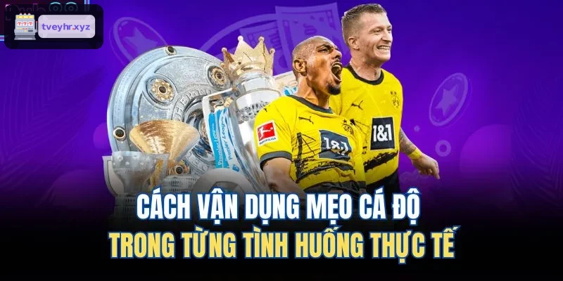 Ứng dụng mẹo cá độ trong các tình huống thực tế