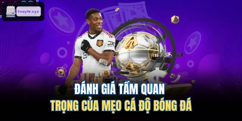Phân tích tầm quan trọng của chiến thuật cá độ bóng đá